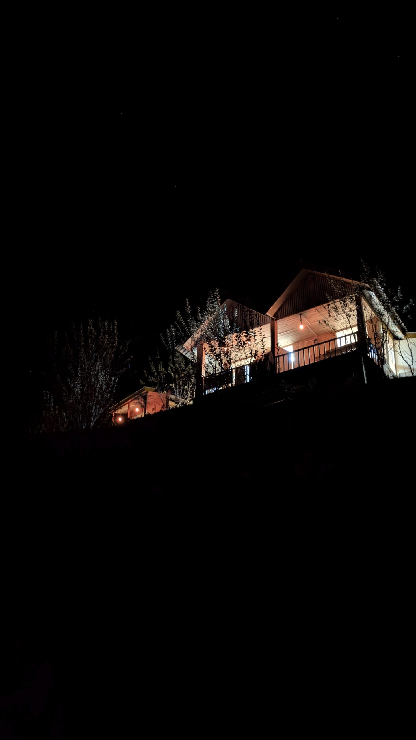 PXL_20241120_140324533.NIGHT