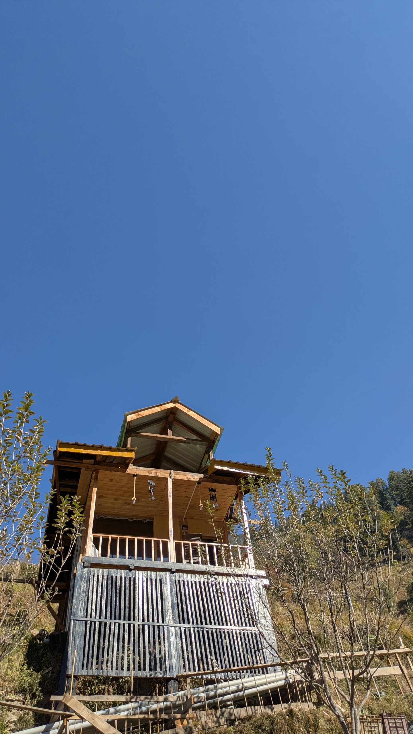 PXL_20241121_075737791