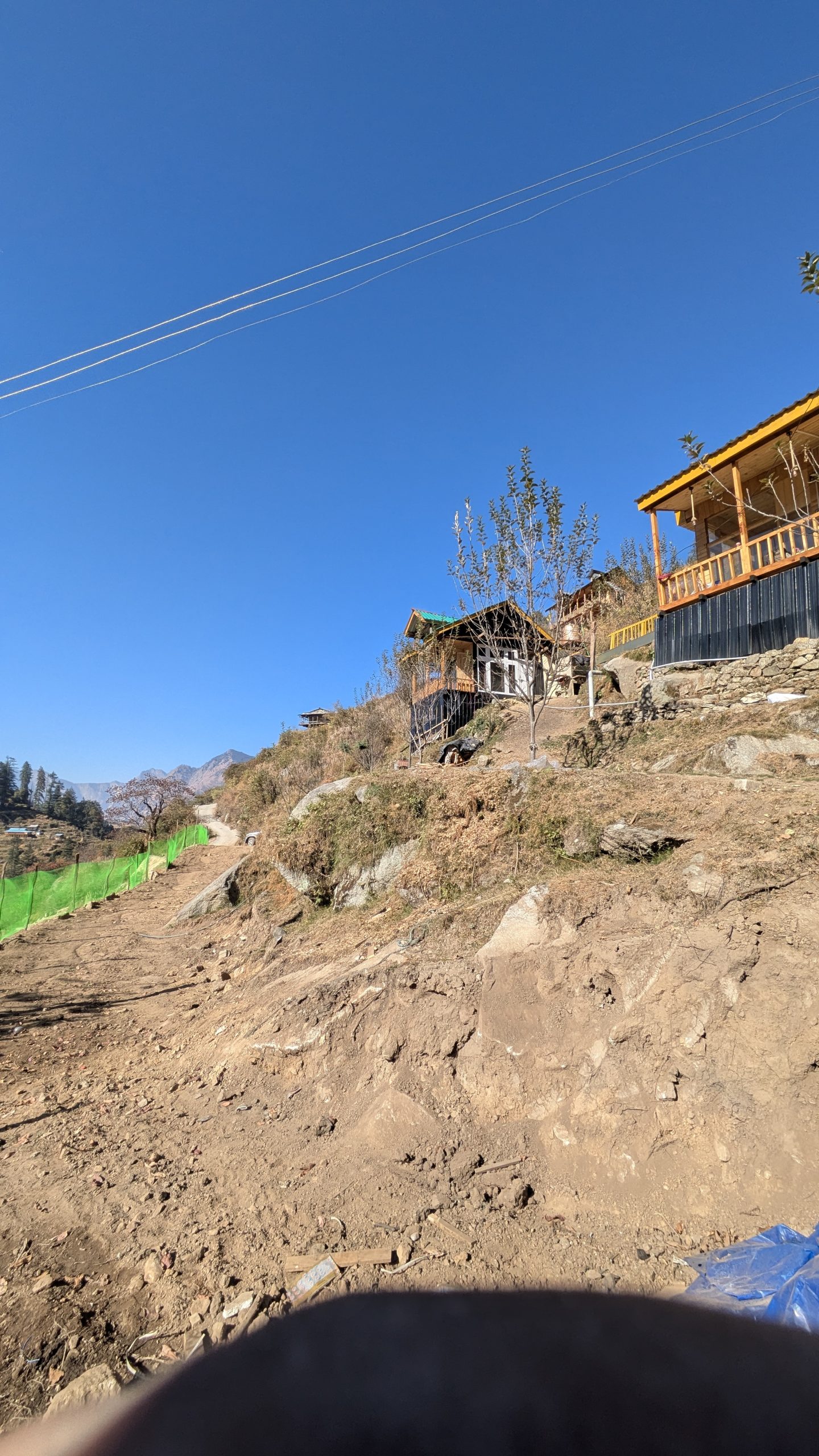 PXL_20241121_075935126