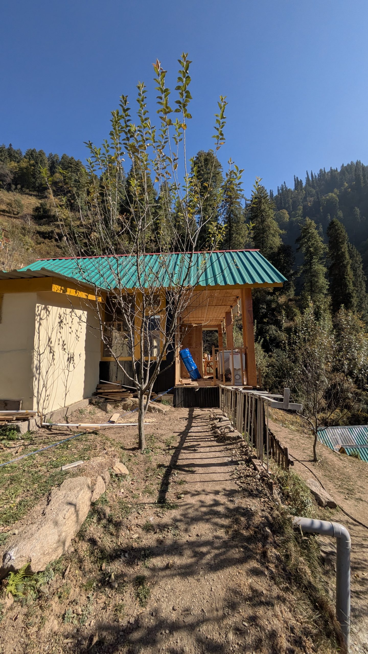 PXL_20241121_075955976