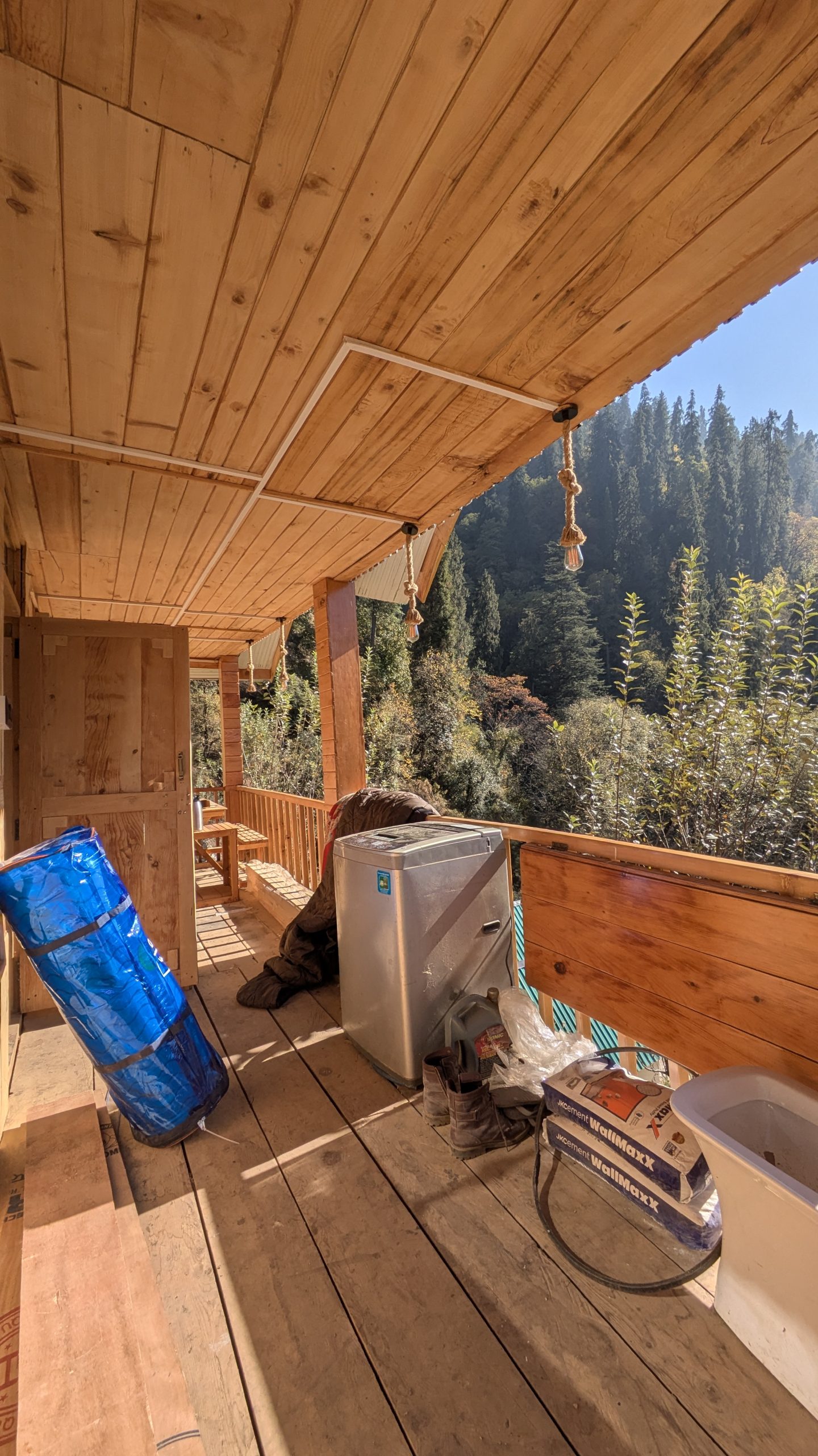 PXL_20241121_080005720