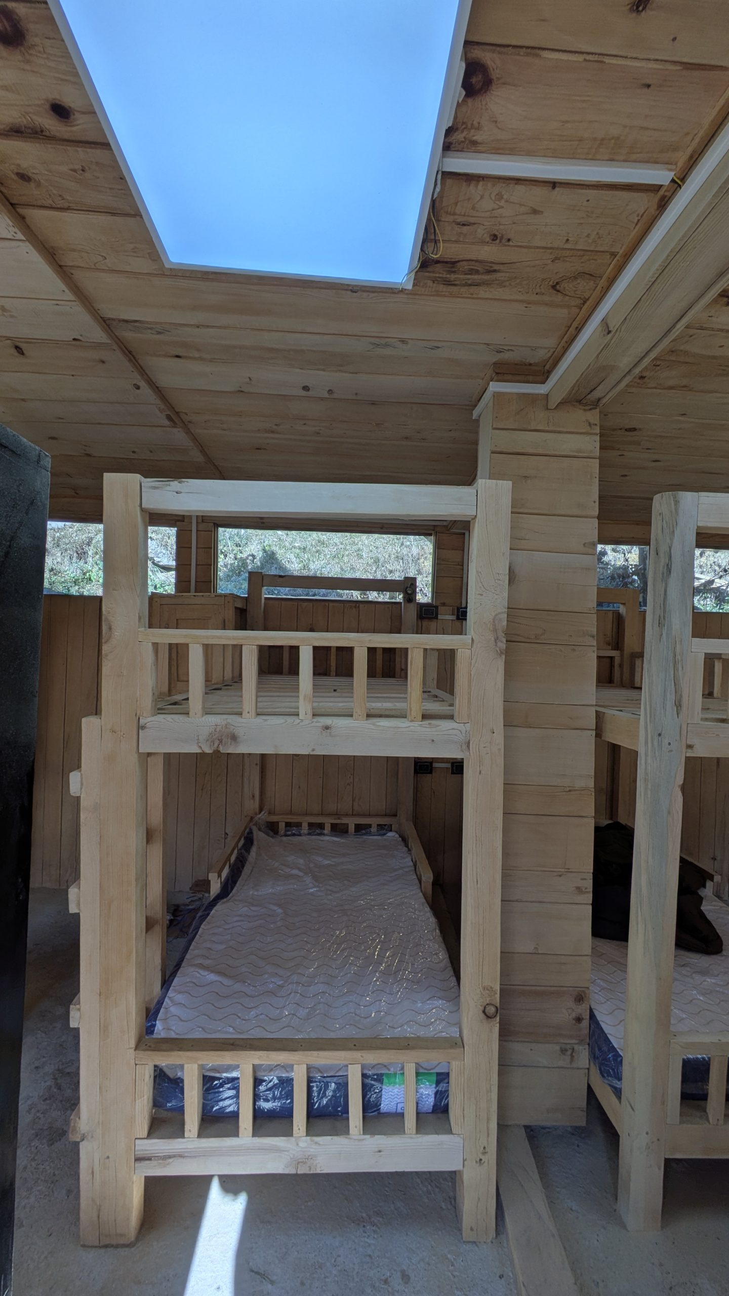 PXL_20241121_080015645