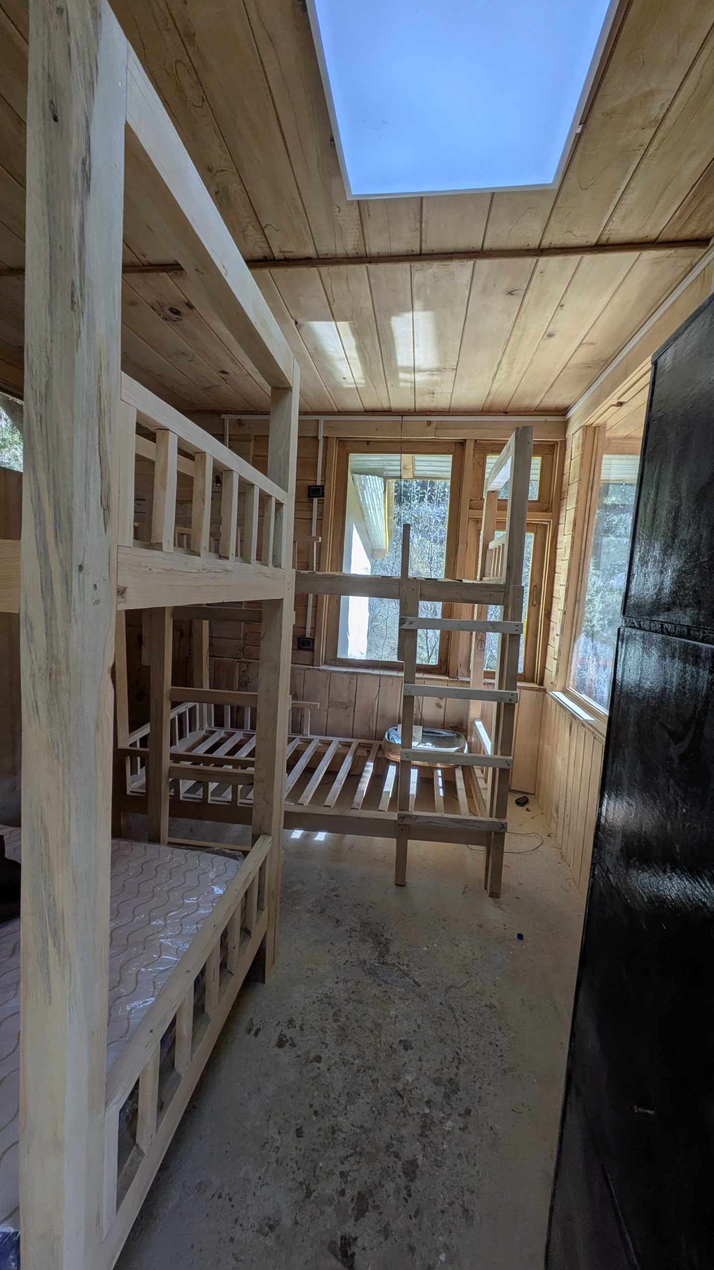 PXL_20241121_080021099