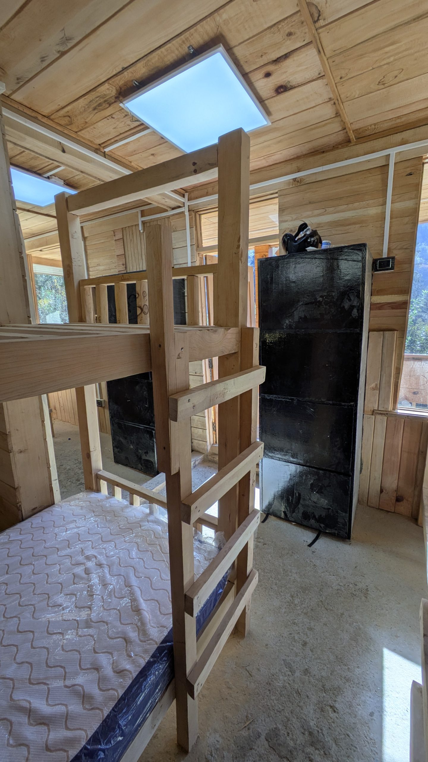 PXL_20241121_080039892