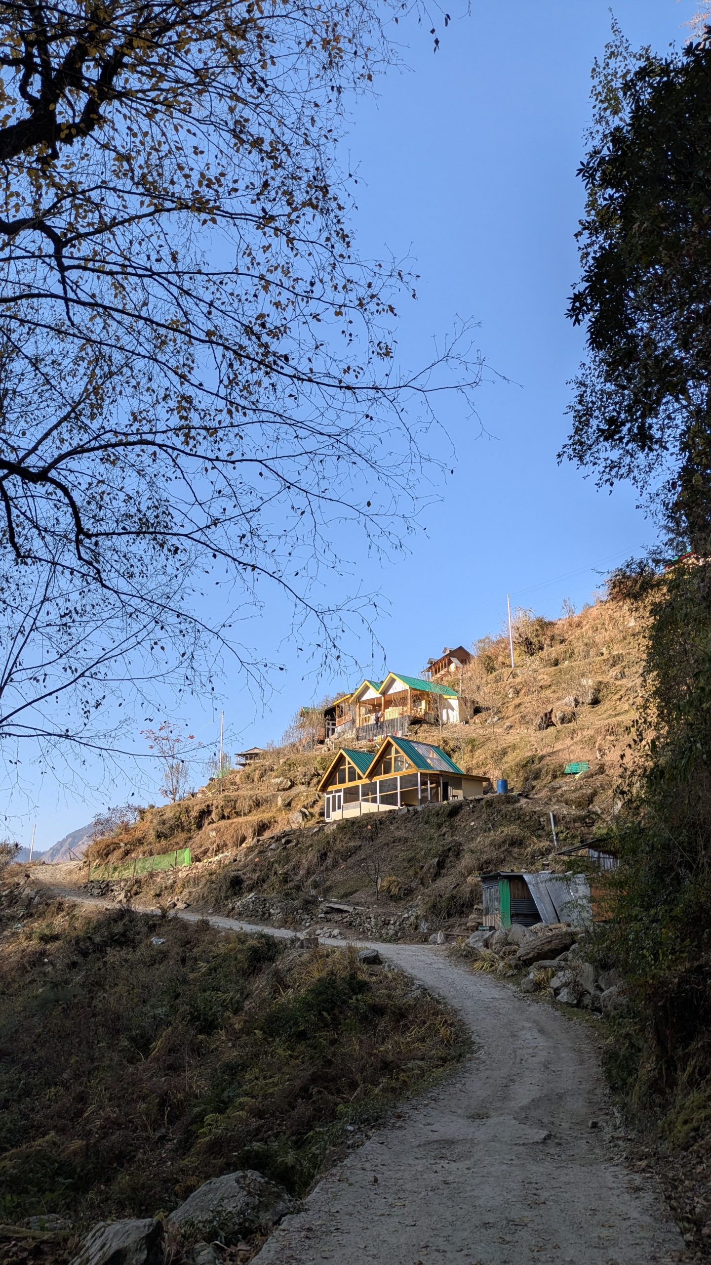 PXL_20241202_094200752.MP